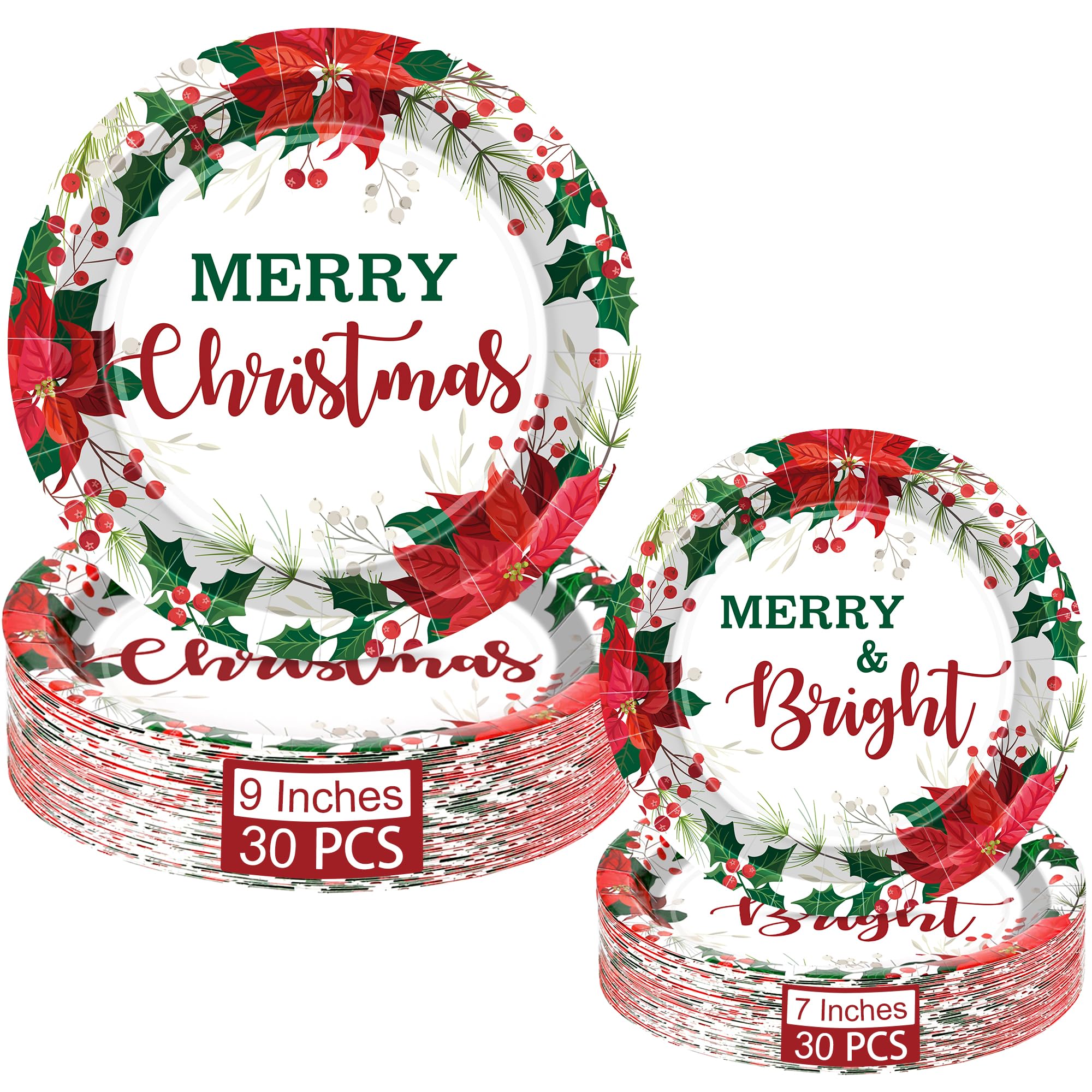 60 PCS Christmas Paper Plates, 9" Christmas Party Plates, Disposable Poinsettia Holly Design Merry Christmas Tableware, Christmas Decorations Holiday Party Supplies for Christmas Party Holiday Party