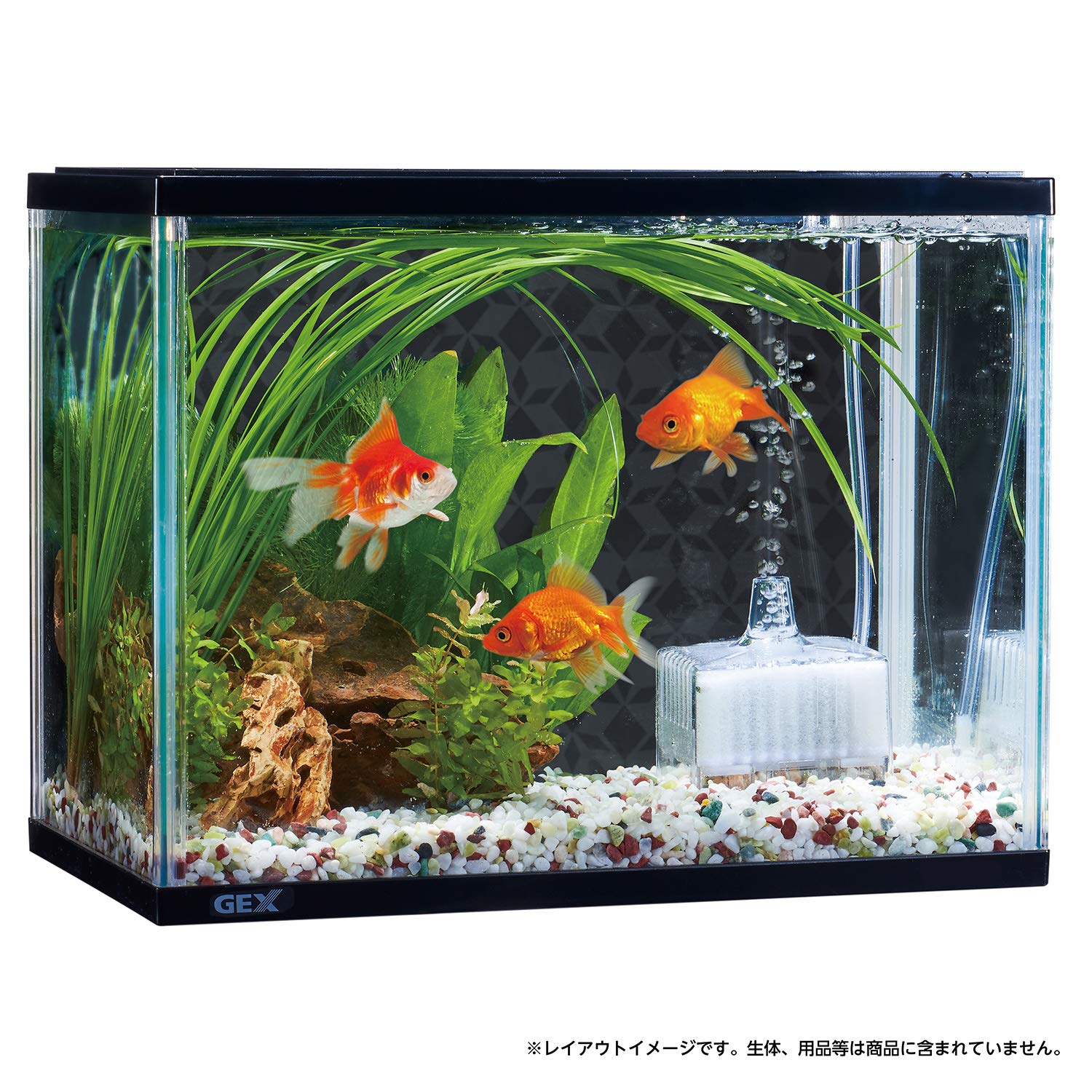 Amazon | ジェックス マリーナS水槽ブラック MR-300BK ブラック