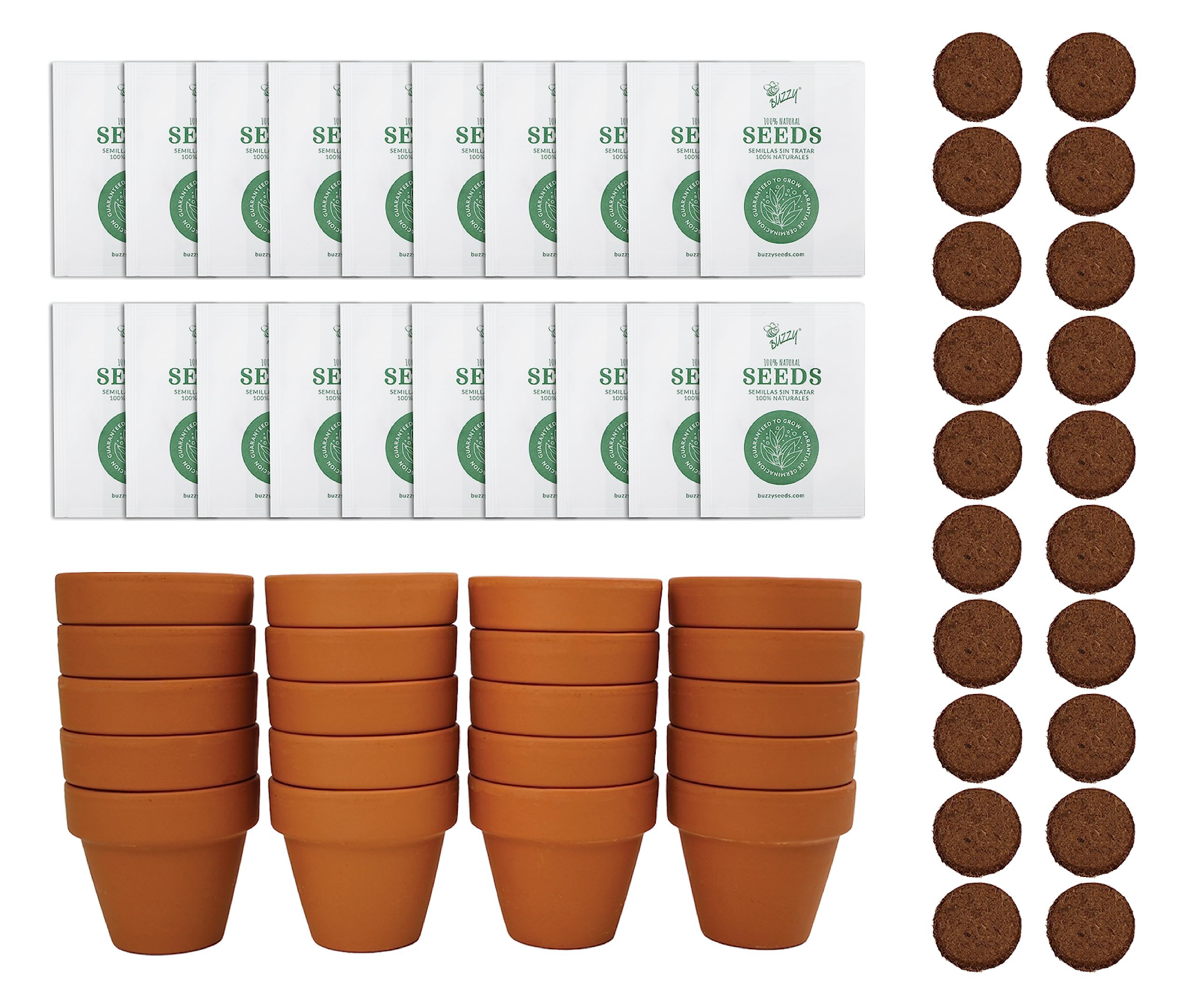 デイジー 12個セット Amazon.com : BUZZY Seeds Daisy Grow Kit, Bulk 20-Pack - Mini