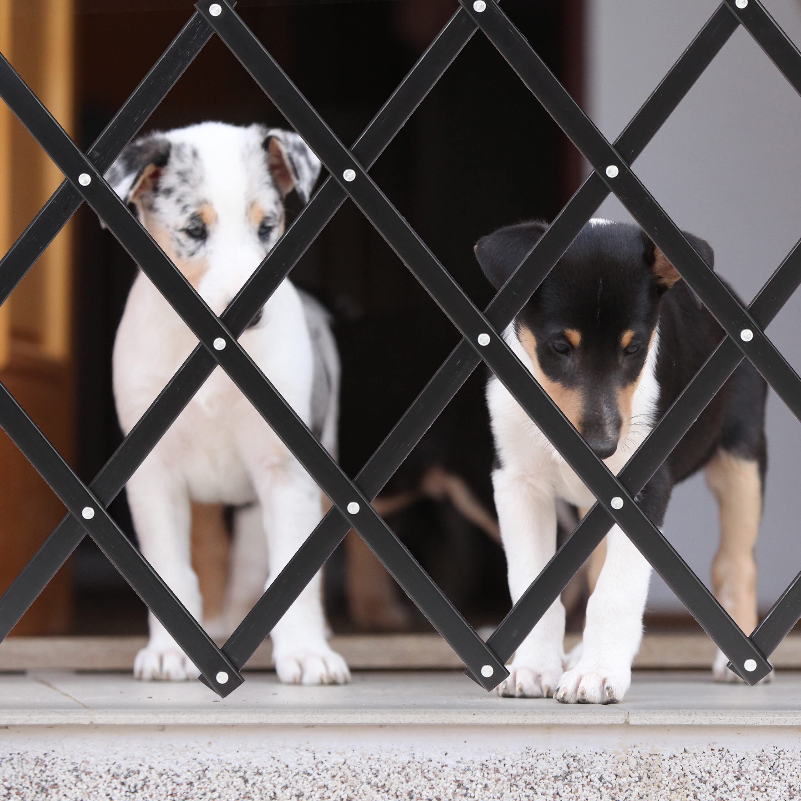 Relaxdays Cancelletto di Sicurezza per Cani, Barriera Porte e Scale, Allungabile 96 cm, Alto 48,5-60 cm, in bambù, Nero