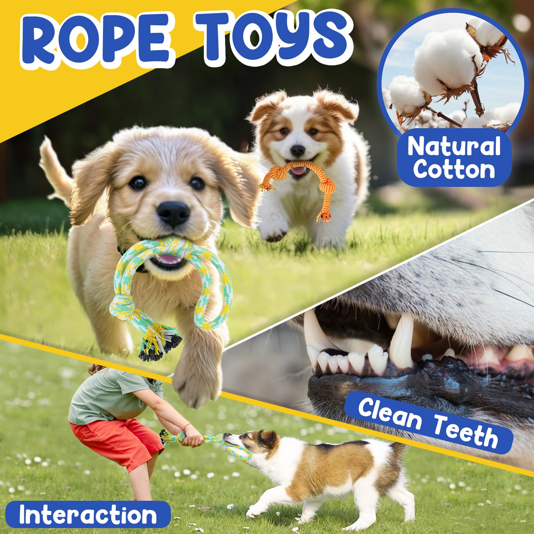 Puppy Toys for Teething, 9 Pack Interactive Dog Toys for Small Dogs, Puppy Chew Toys for Boredom with Rope Toys, Treat Ball and Cute Squeaky Toys