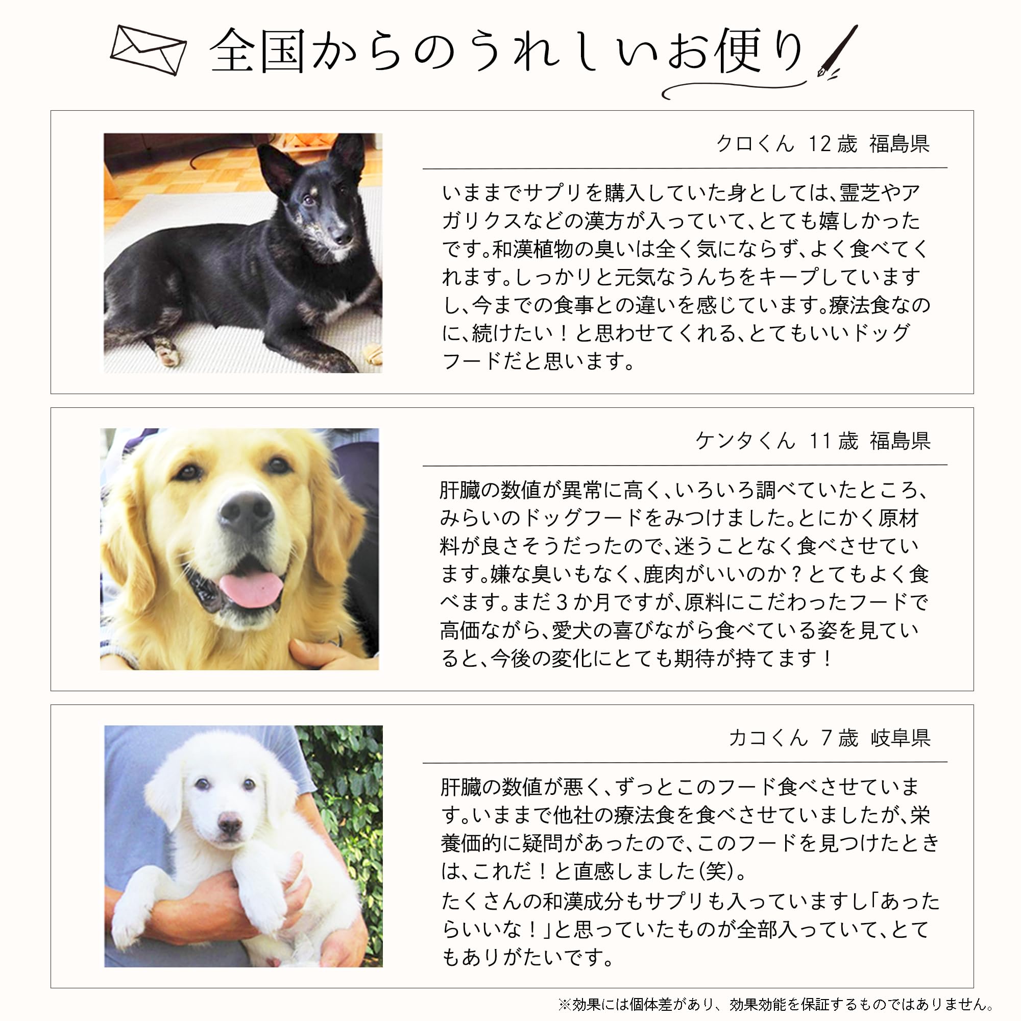 Amazon.co.jp: 【肝臓ケア】和漢みらいのドッグフード 1kg×2袋 特別