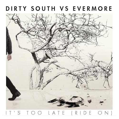 Its Too Late Clean By Dirty South Vs Evermore On Amazon