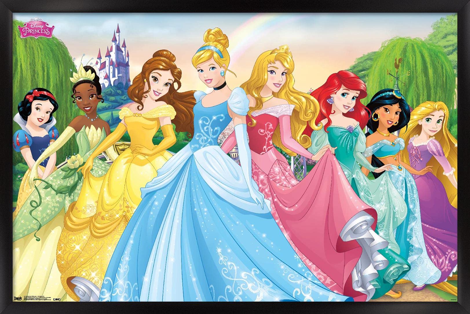 Amazon.com: Trends International Disney Princess - Castle Lawn