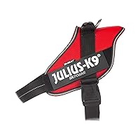 Julius-K9, Pettorina IDC Powair