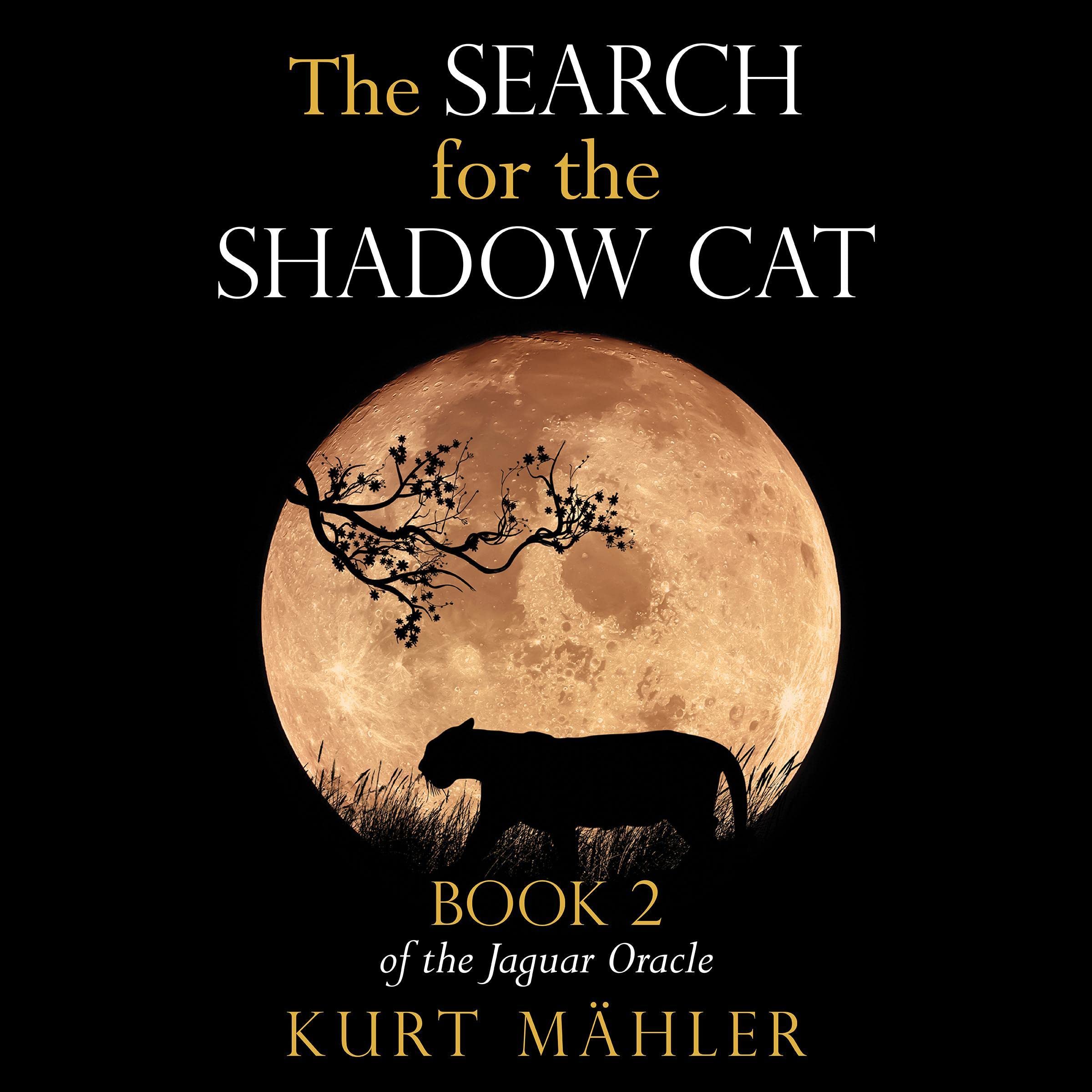Cover art for The Search for the Shadow Cat