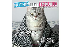 2024 BT21 Nuthin But Trouble Wall Calendar