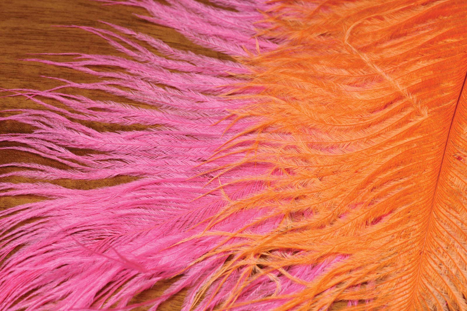 Hareline Fly Tying Ostrich Herl – Natural Ostrich Herl for Fly Tying Nymphs, Streamers & Dubbing Bodies (Orange)
