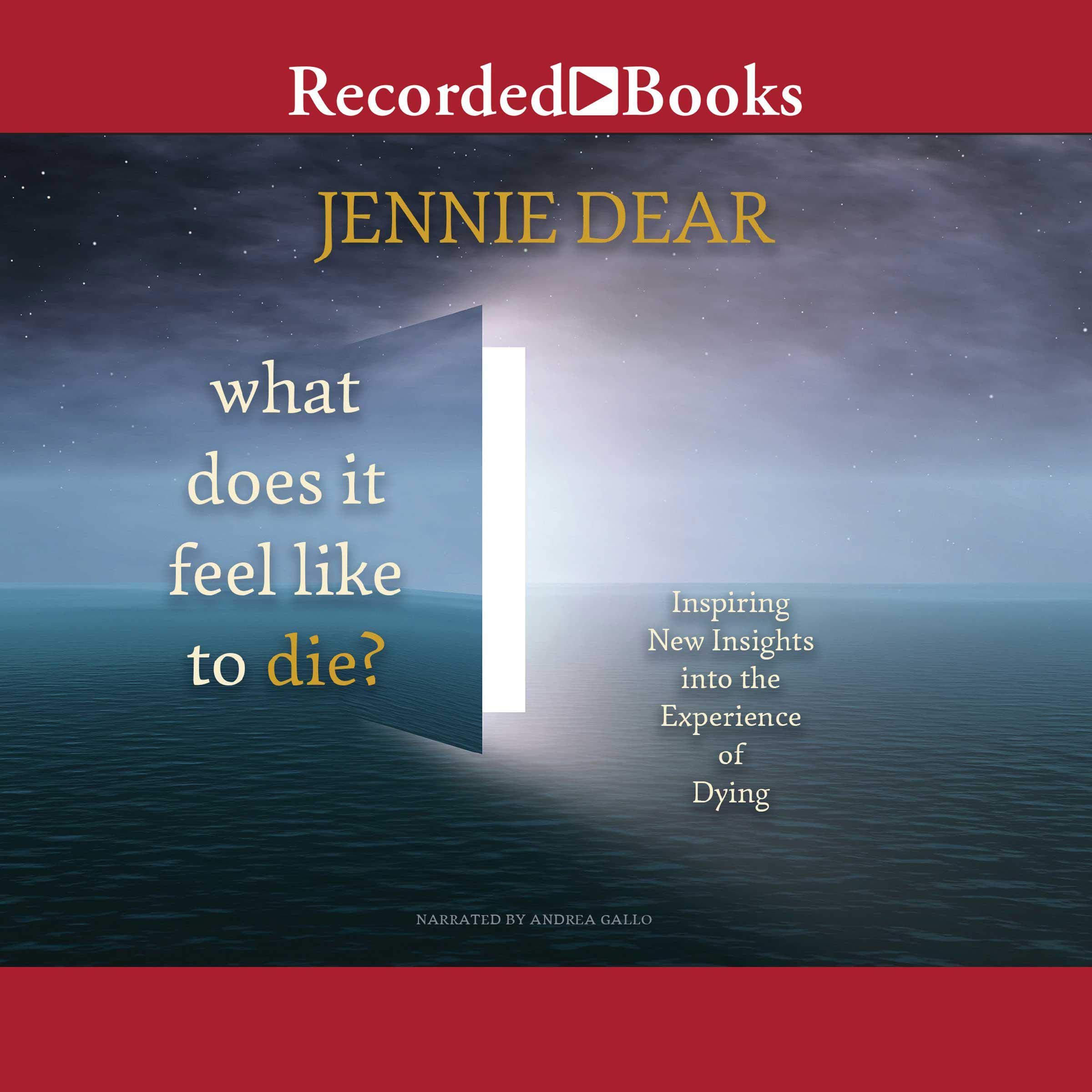 Cover art for What Does It Feel Like to Die?