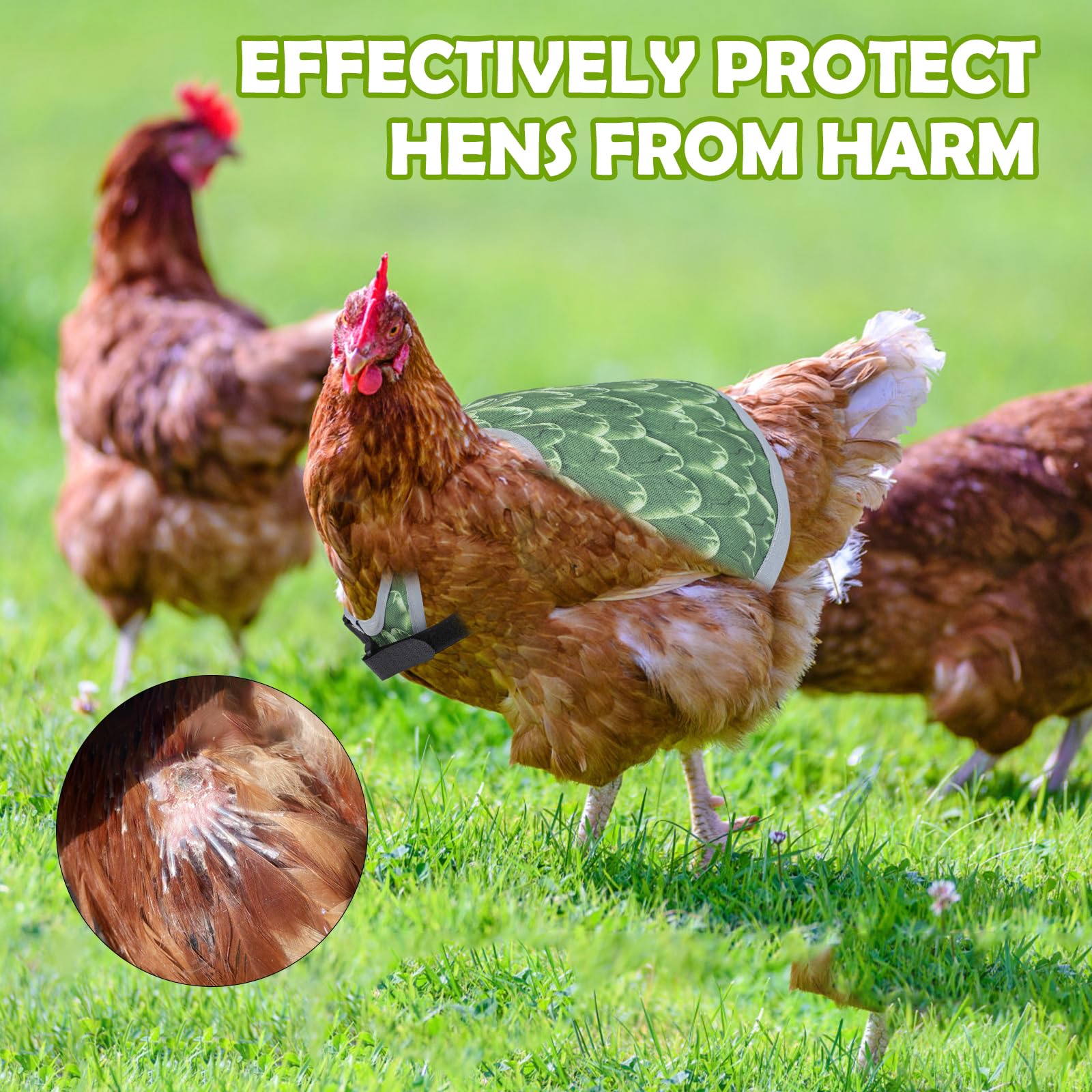 Chicken Saddle for Hens, Laelr 4 PCS Chicken Apron Back Protector for Hens, Waterproof Hen Saddle Chicken Vest with Adjustable Straps for Poultry Back Feather Protection, Easy to Wear — view 6