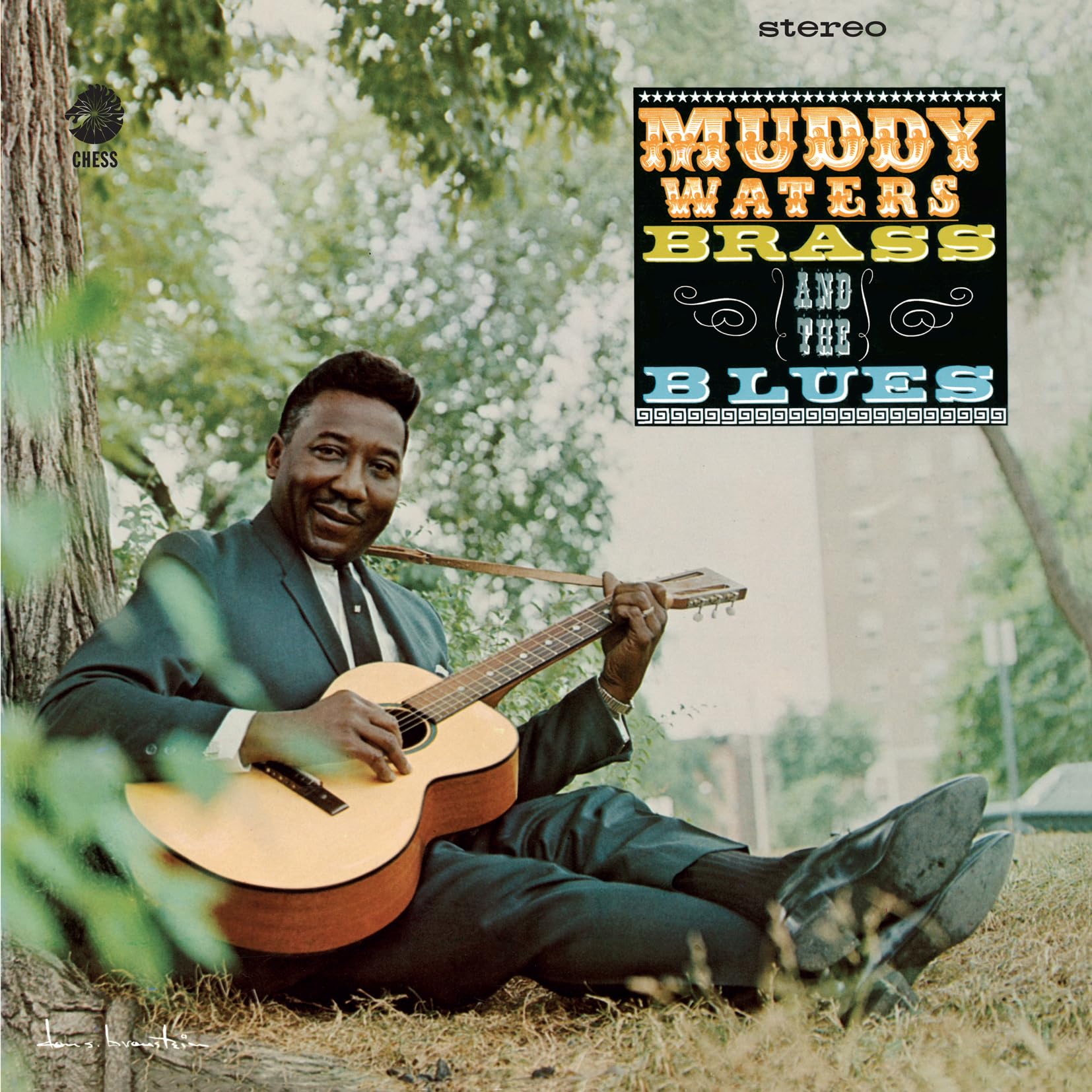 Muddy Brass & The Blues (Limited Gatefold Edition) [VINYL]
