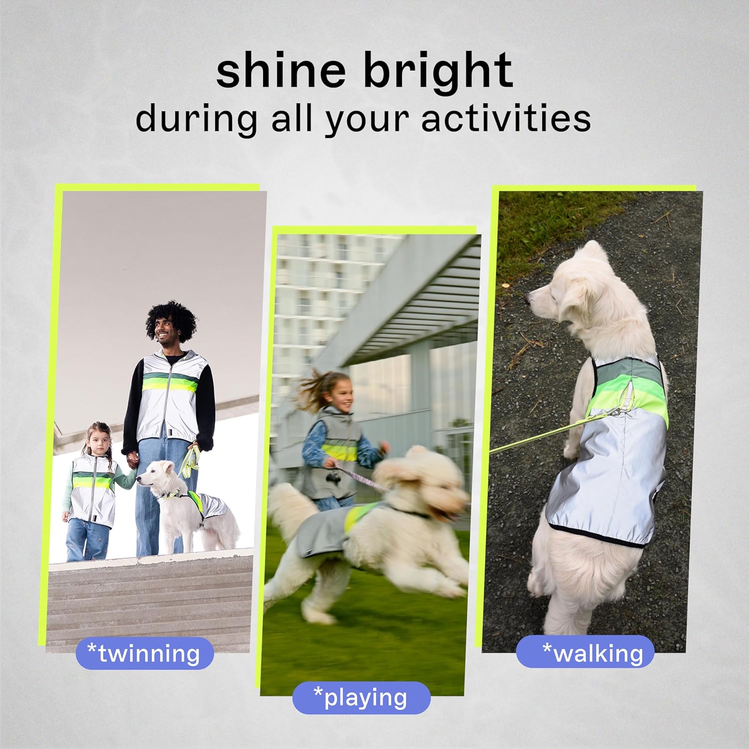 GOFLUO Moonlight Reflective Dog Coat - Northern Light Design - Size L – High-Visibility Vest for Dogs – Ideal for Night Walking, Outdoors Adventures