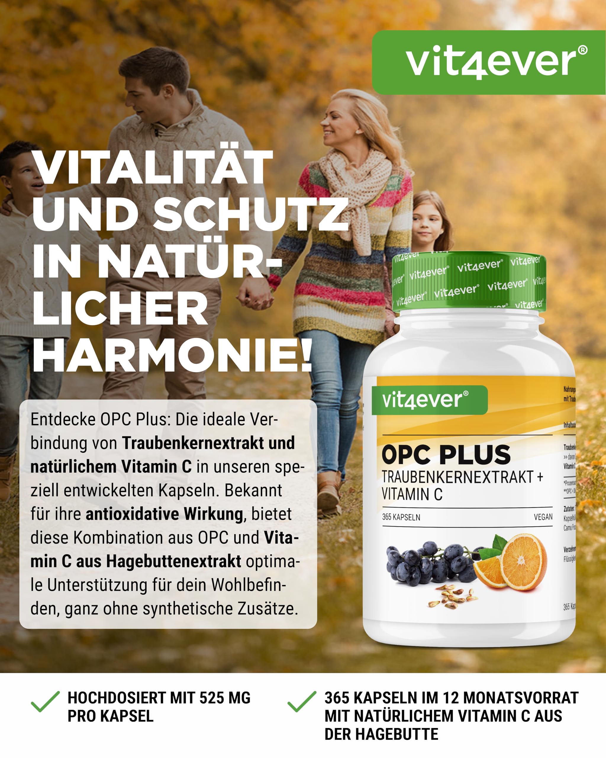 vit4ever OPC Traubenkernextrakt + Vitamin C - 365 Kapseln 315mg OPC | 450 mg Traubenkernextrakt, 75 mg Vitamin C, 12 Monatsvorrat, vegan