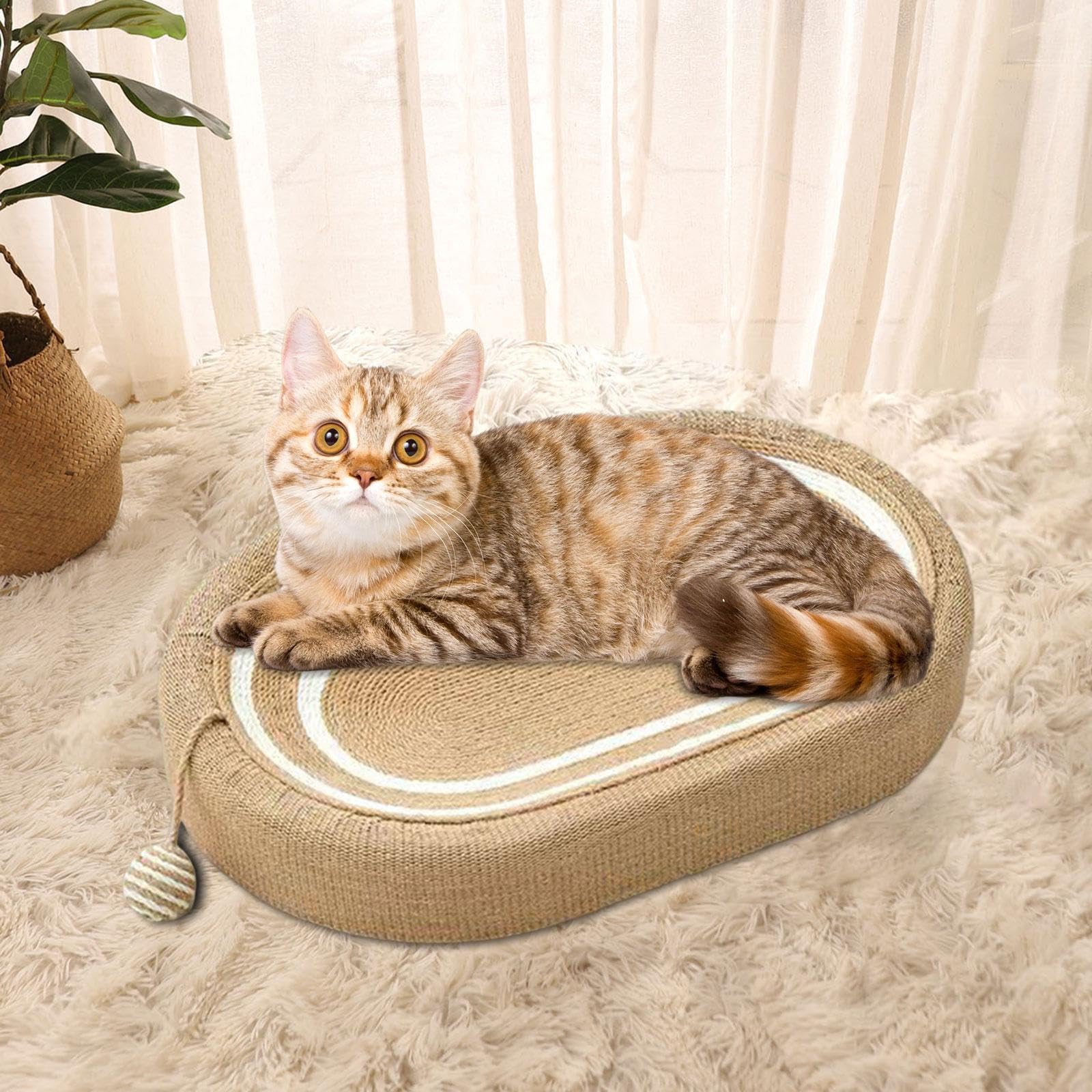 Colcolo Ovales Kratzbrett Katzen für Katzen, 3 in 1 Katzen Kratzmatte mit Ballspielzeug, Lounge Kratzpappe, Möbelschutz Schutz zum Spielen, Kratzbrett für Katzen, Weiß gestreift, Braun