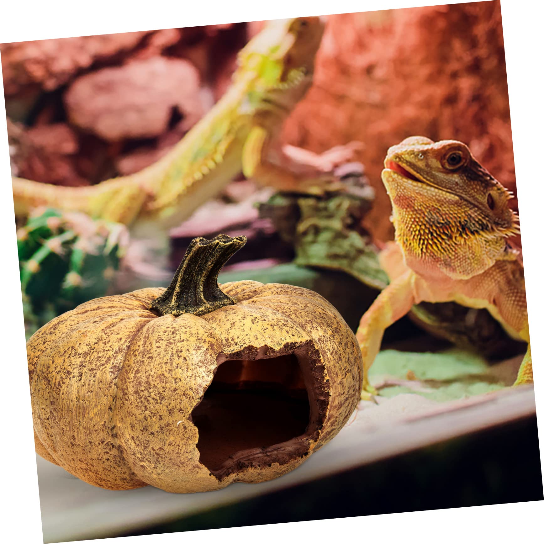 Decorativa Caverna Per Rettili Finta Forma Di Zucca Rifugio Delicato Per Terrario Nascondiglio Multifunzionale Per Animali Esotici e Betta Design Realistico Per Decorazioni
