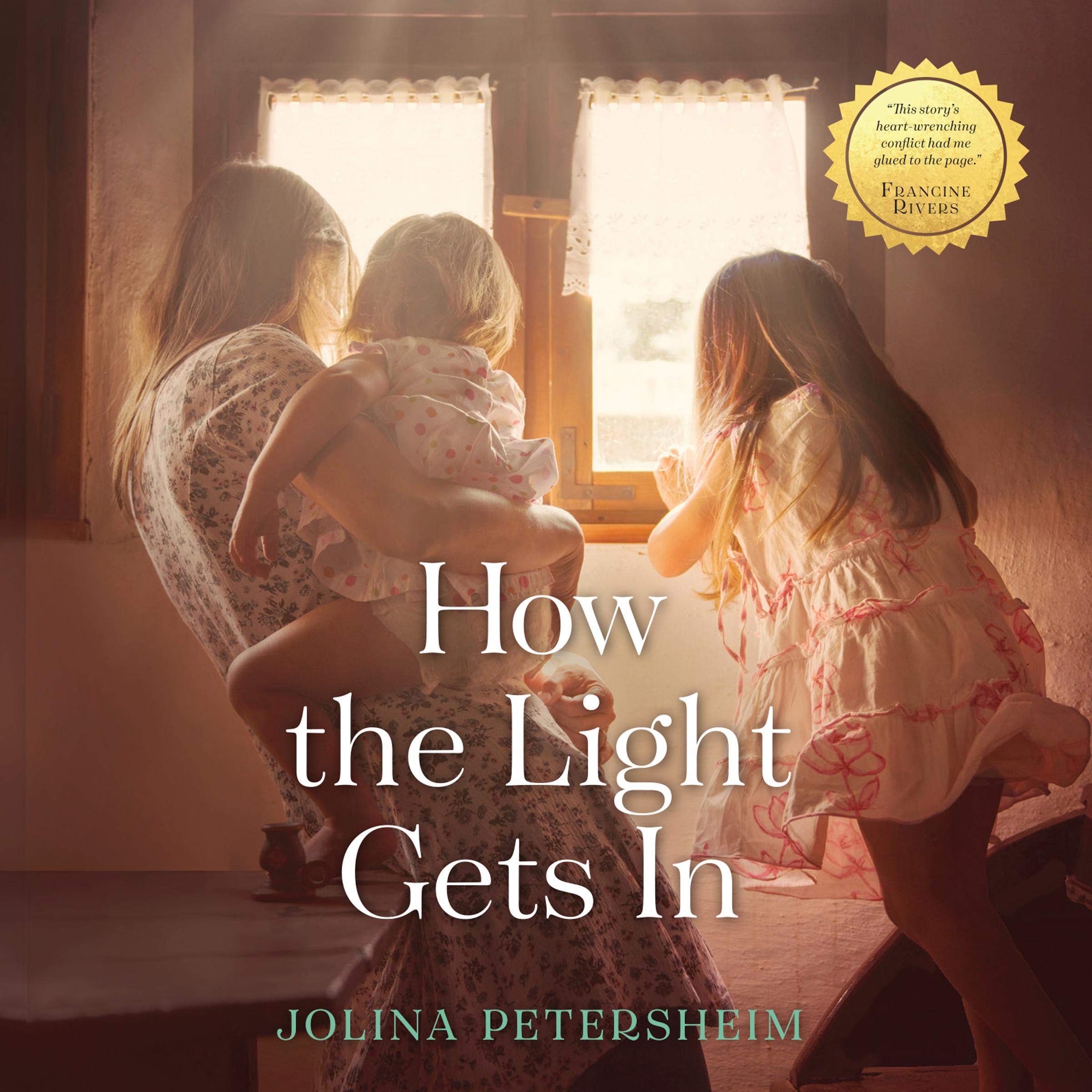 Cover art for How the Light Gets In