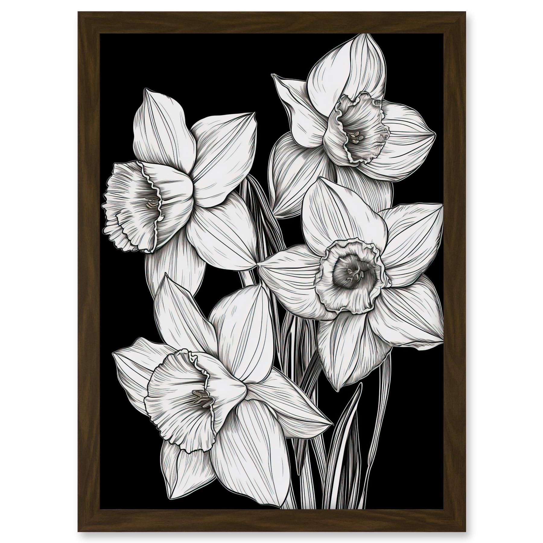 Artery8 Daffodil Wildflower Plant Blooms Black and White Artwork Framed A3 Wall Art Print
