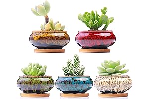 Succulent Holder, Drainage Saucers Attached, Set of 5 (by Burner)