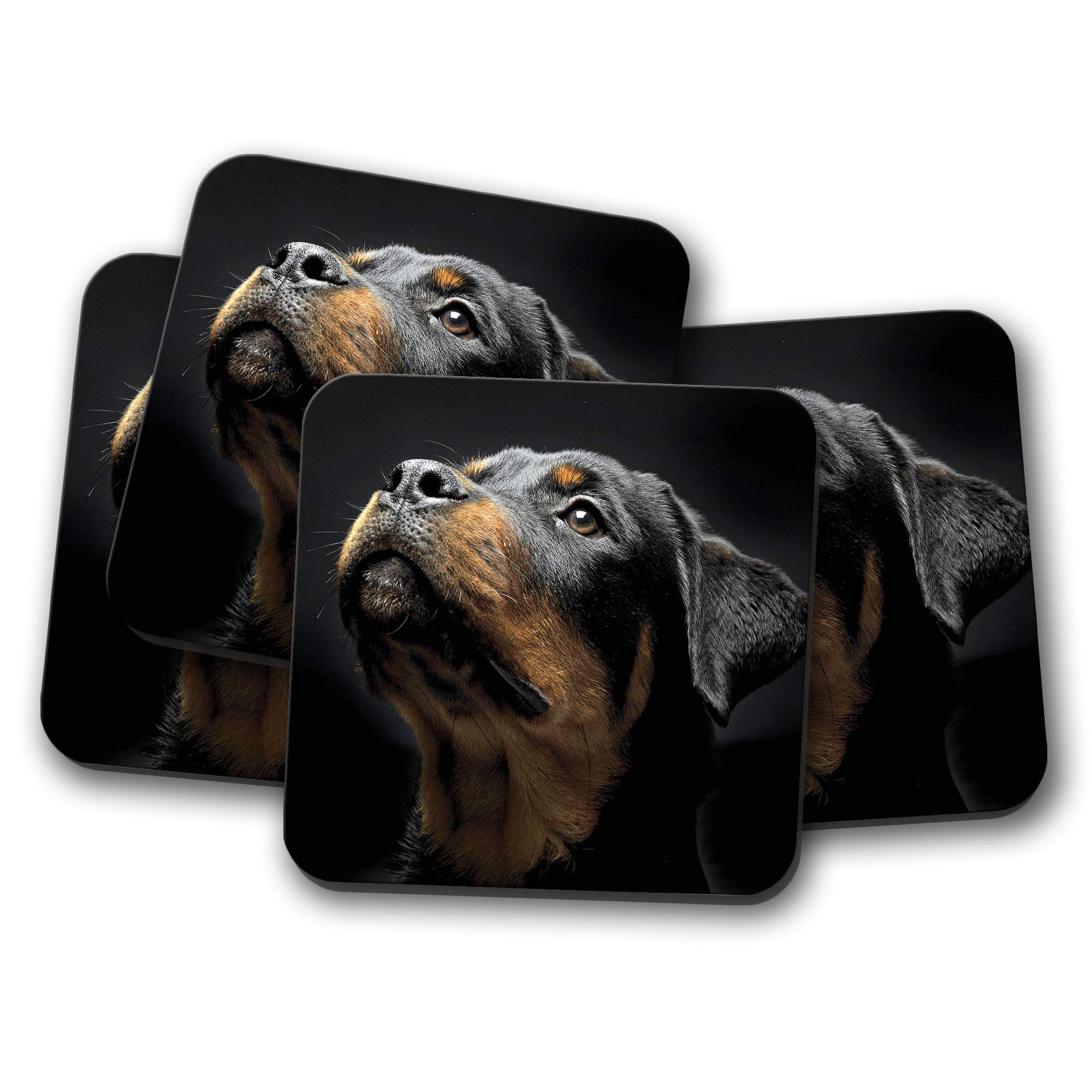 Destinationvinyl Multicolor 4 Set - Beautiful Rottweiler Coaster - Dog Puppy Rottie Puppies #8616