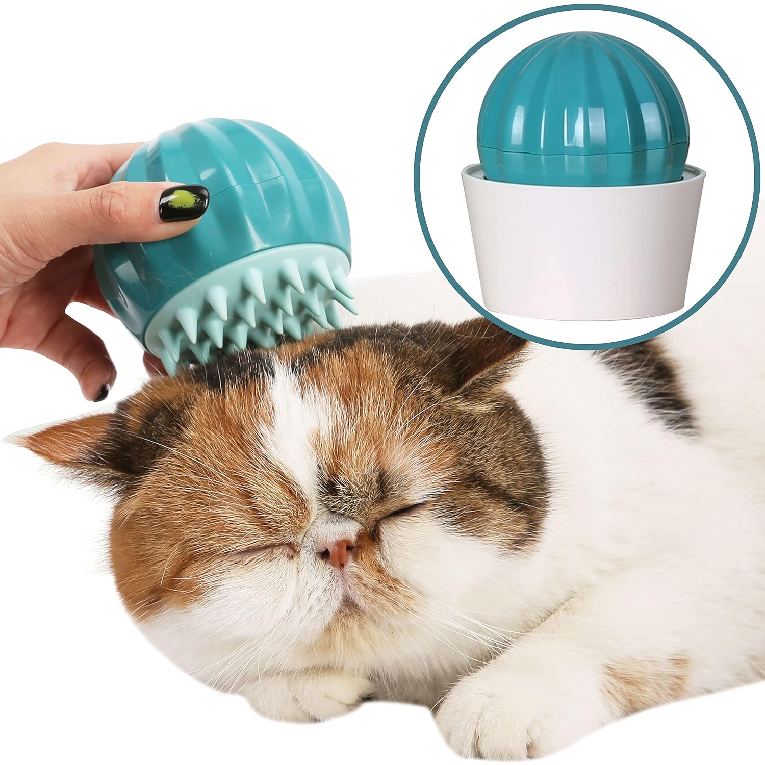 PetnPurr Cactus Cat Grooming Brush: Cat Hair Remover, Dog Brush and Deshedding Brush for Cats and Small Dogs. Perfect Cat Brushes for…