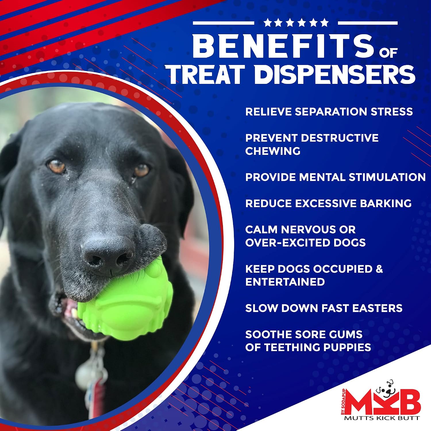 SodaPup MuttsKickButt Bullfrog – Durable Dog Treat Dispenser & Chew Toy Made in USA from Non-Toxic, Pet Safe, Food Safe Natural Rubber for Mental Stimulation, Problem Chewing, Calming Nerves & More image 4