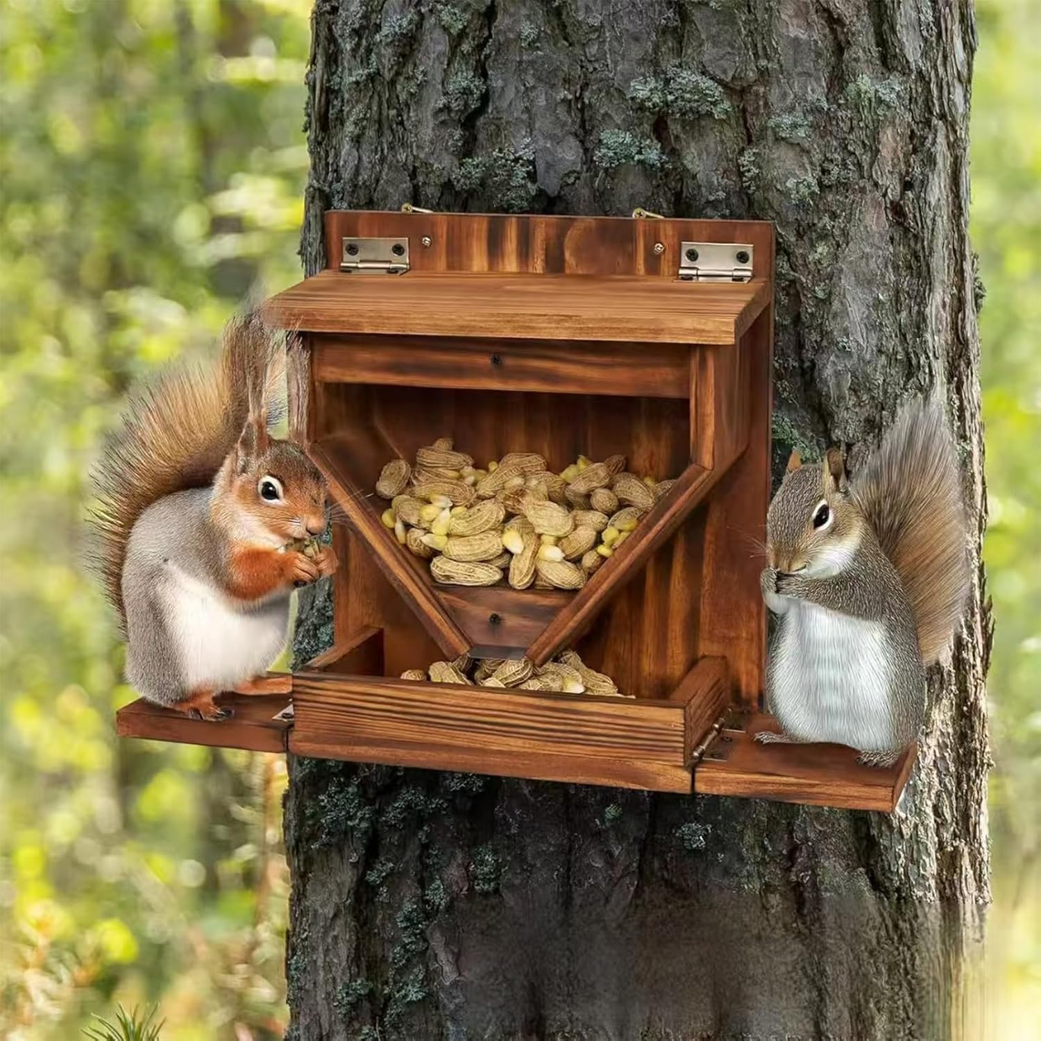 Pet Squirrel Feeding Device Creative Wall Hanging Squirrel Wild Dining Table Device Grain Storage Box