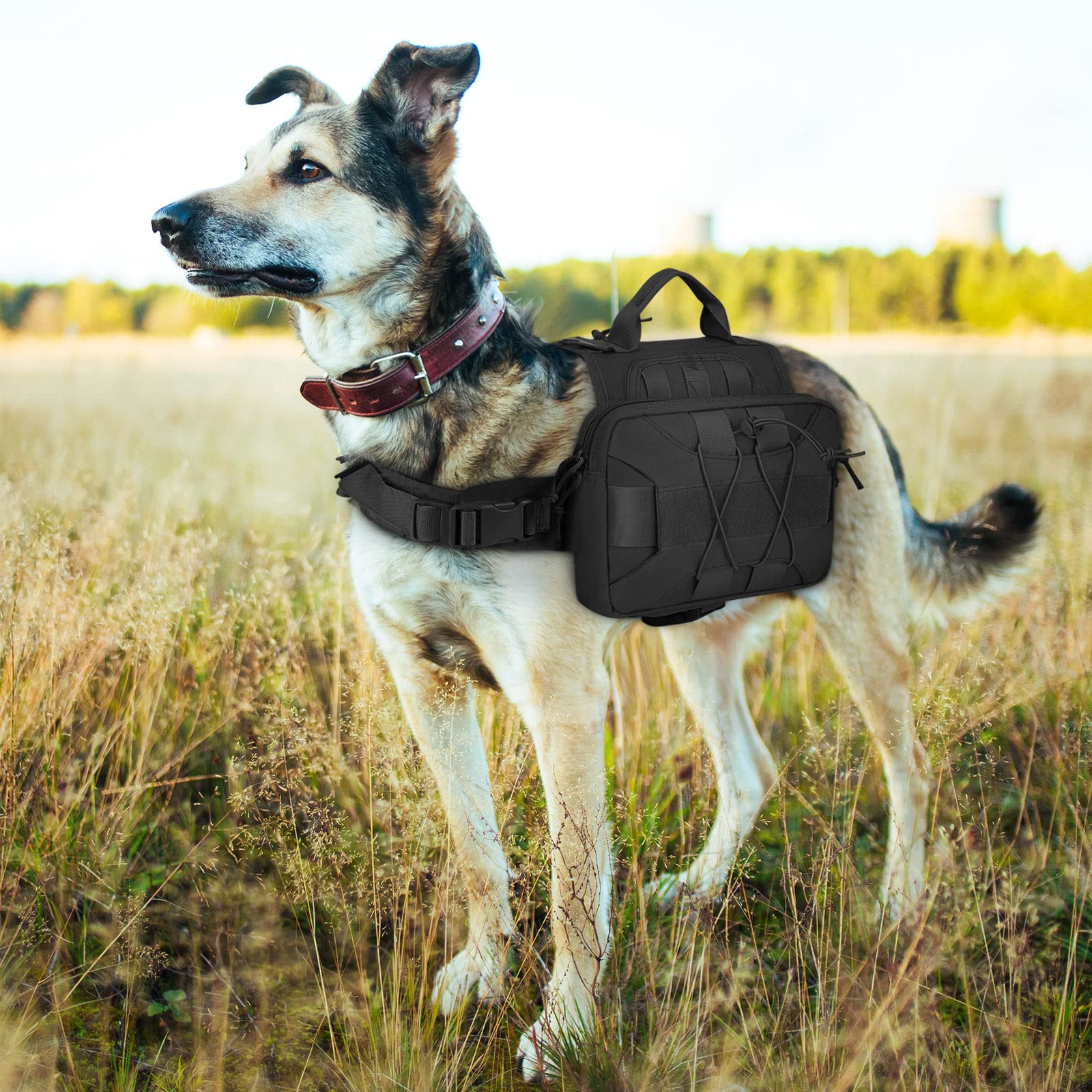 Huntvp Sac à Dos Tactique 1000D Harnais pour Chien Sac à Dos de Camping randonnée Sac à Dos pour Chien Voyage, Camping et la Randonnée en Plein air Chasse(Noir)