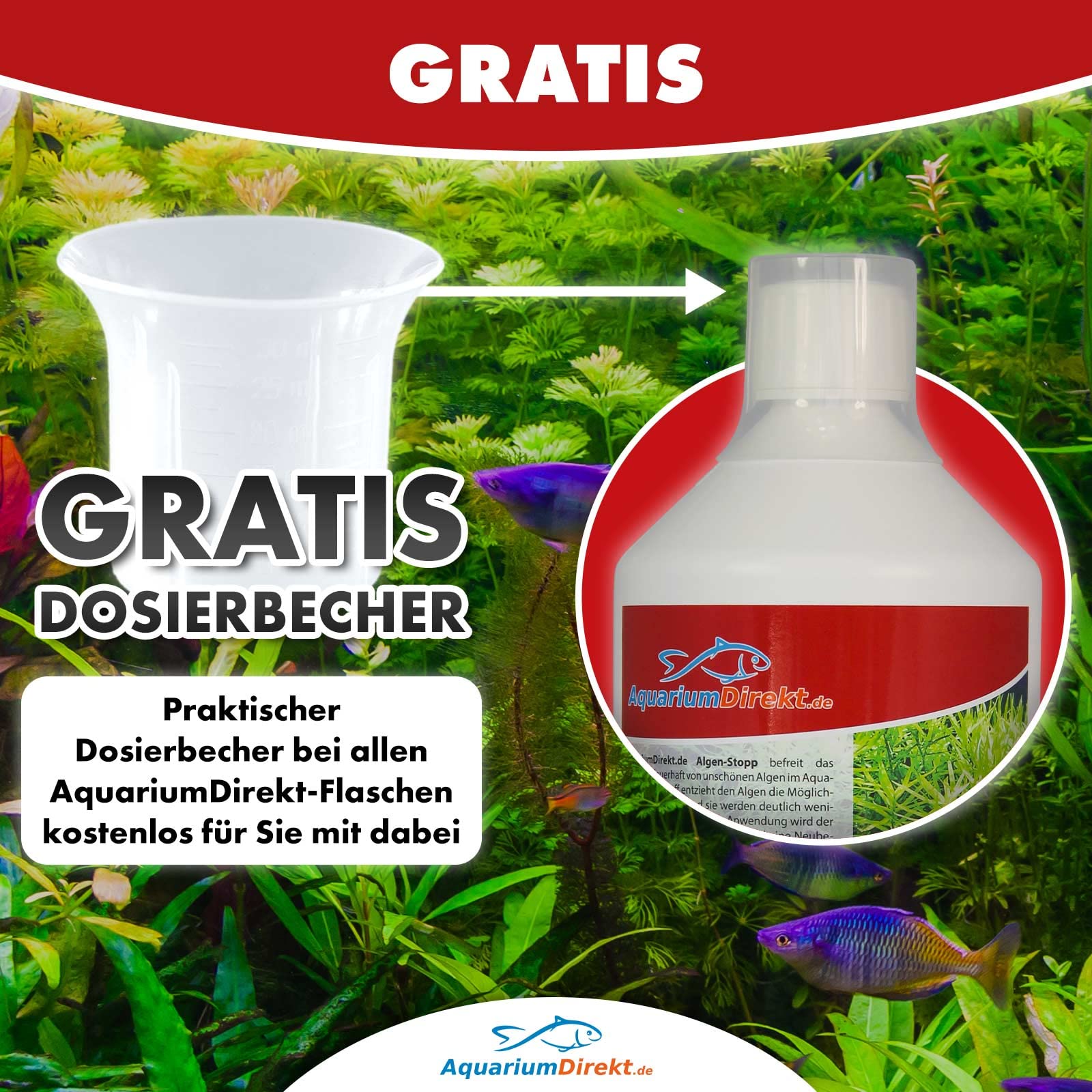 Algen-Stopp (Flüssiger Algenvernichter, Algenentferner für Ihr Aquarium - Stoppt und befreit nachhaltig Algenwuchs, neuartiger Rezeptur ohne Kupfer), Größe:5 L