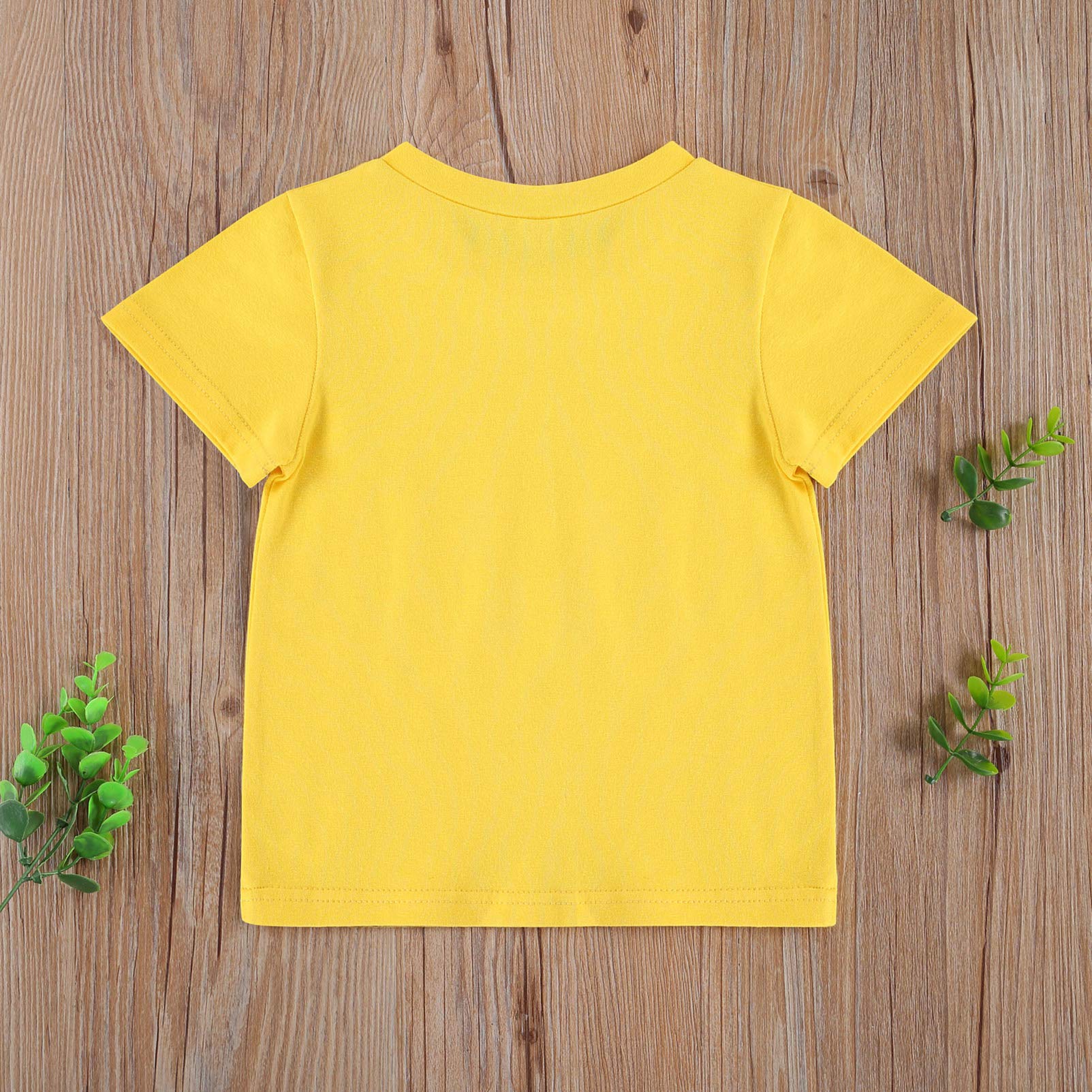 Kids Toddler Baby Boy Girl Solid Short Sleeve T-Shirts Tees Tops Summer Clothes (Yellow, 3-4 Years)