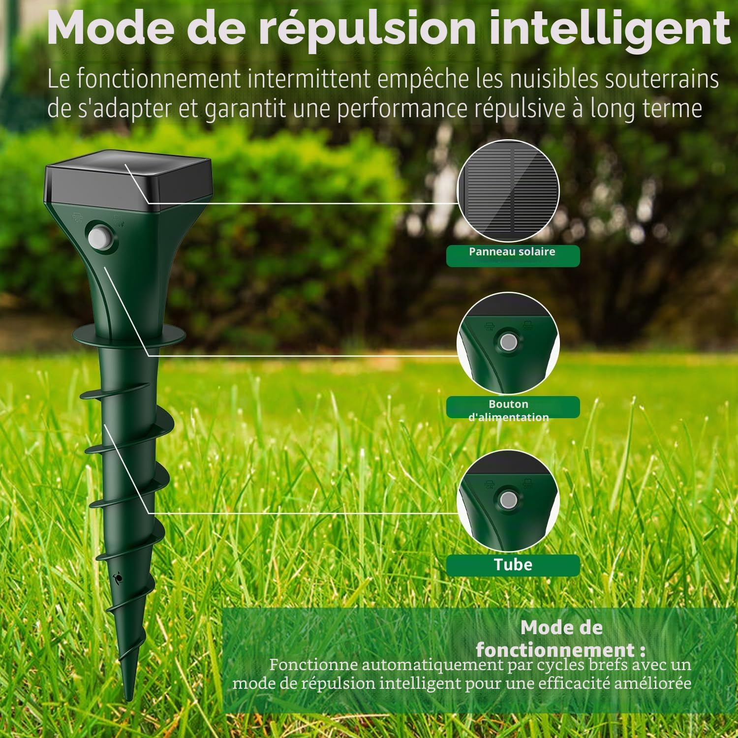 Anti Taupe Solaire, 2 Pièces Répulsif Taupe Vibration et Ultrasons, Efficace Contre Les Taupes, Les Campagnols, Les Souris, Les Serpent, Ainsi Que Les Rongeurs de Jardin-Vert