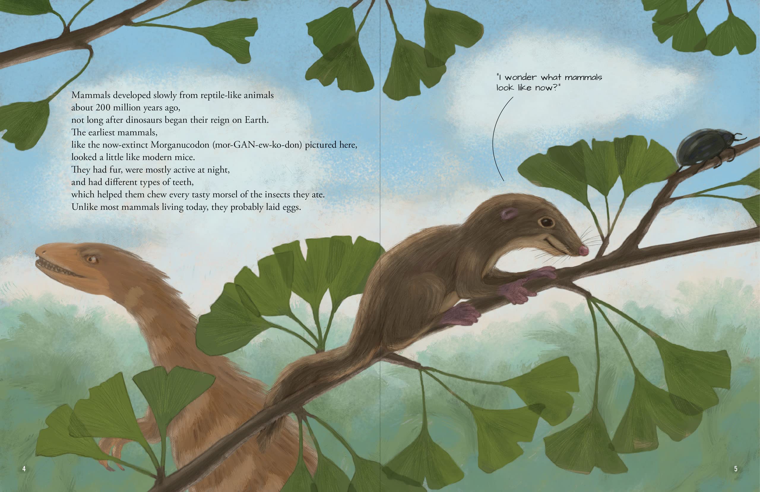 All the Mammals in the World - Image 2