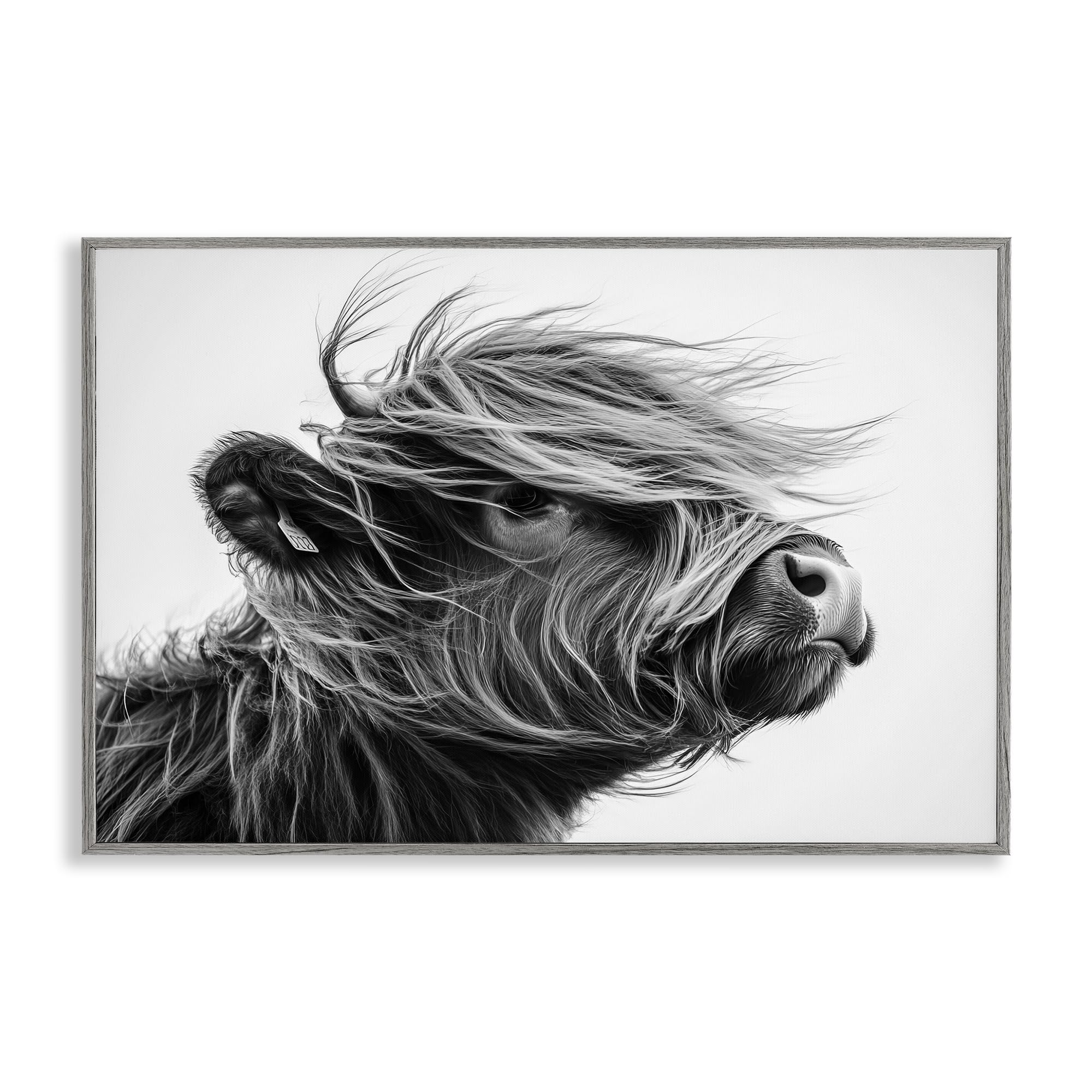 Stupell Industries 'Handsome Highland Portrait', Framed Giclee Art, Gray, 30 x 20 Inches, Easy to Hang and Sturdy, Made in USA, by Tina LeCour