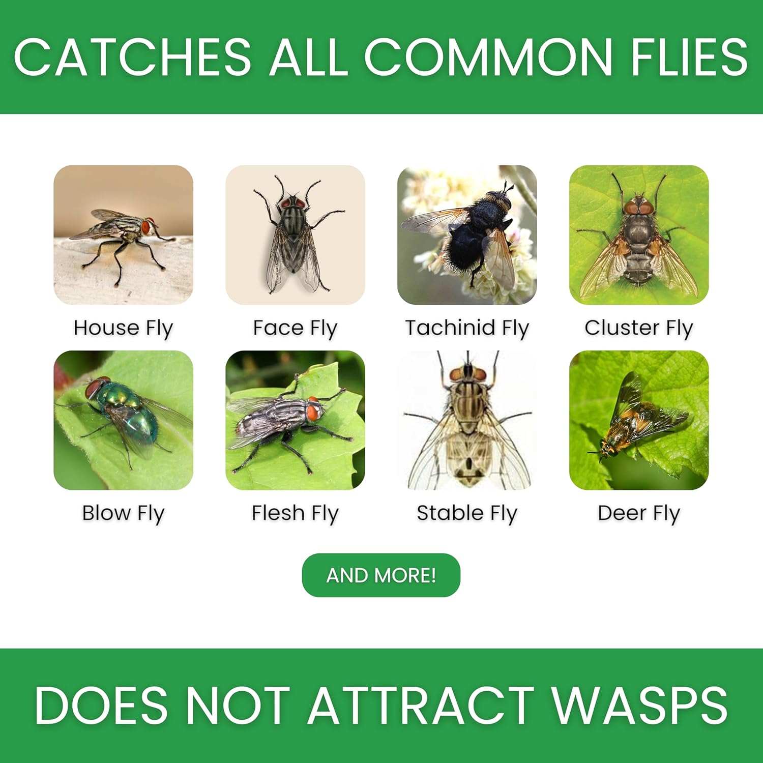 Flybuster Fly Trap | Outdoor Device for Catching Flies | 10-Liter Commercial Size | Comes with One Flytrap and 2 Bait Packets | 2,000,000 Fly Capacity | Non-Toxic | Child & Pet Safe