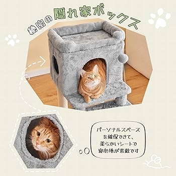 Amazon | Mwpo シニア ジャンプの苦手な猫ちゃん 登りやすいステップ
