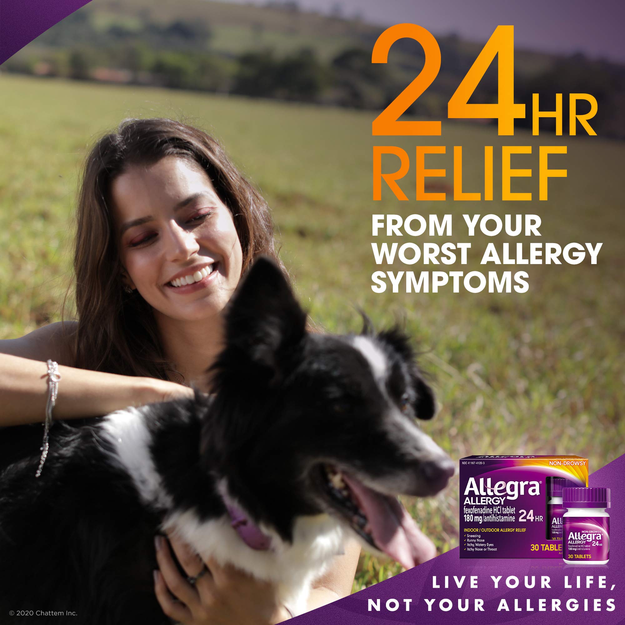 Is Allegra Good For Dog Allergies