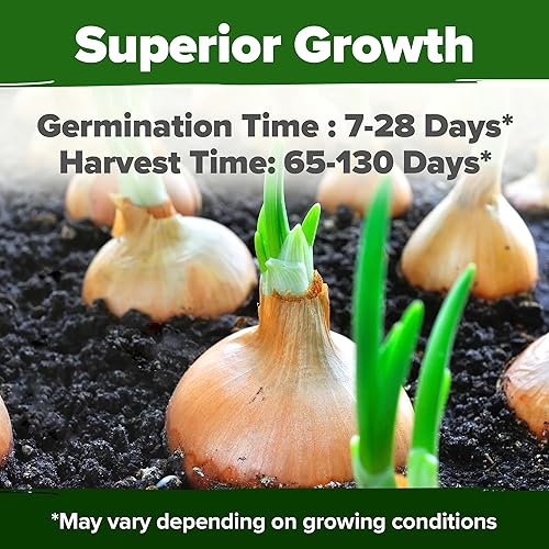 Miniatura 246 de HOME GROWN 12 semillas de vegetales de otoño, más de 6,000 semillas de reliquia para plantar en otoño e invierno, remolacha, brócoli, repollo, col