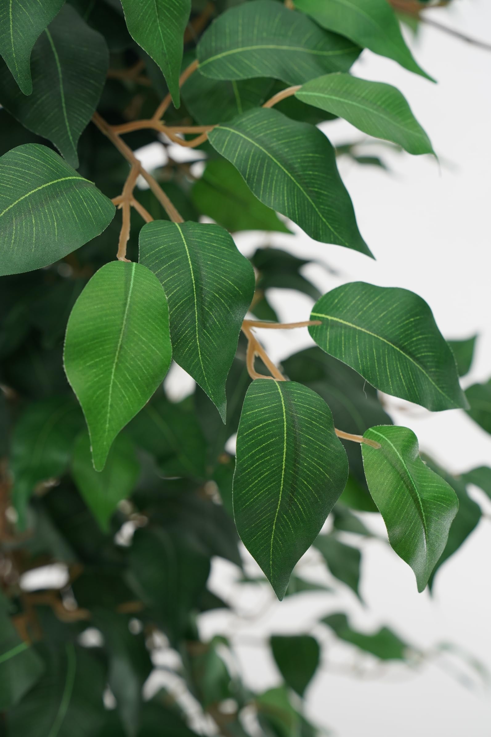 Ficus Benjamin Pianta Sintetica Finta Con Tronchi Intrecciati Legno Naturale e Foglie Poliestere Seta (Ficus-Benjamin 150cm)
