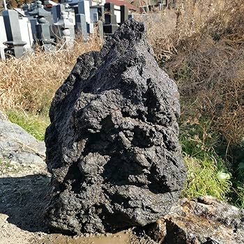 Amazon.co.jp: 富士溶岩石160キロ庭石鑑賞石石盆石水石灯籠庭坪