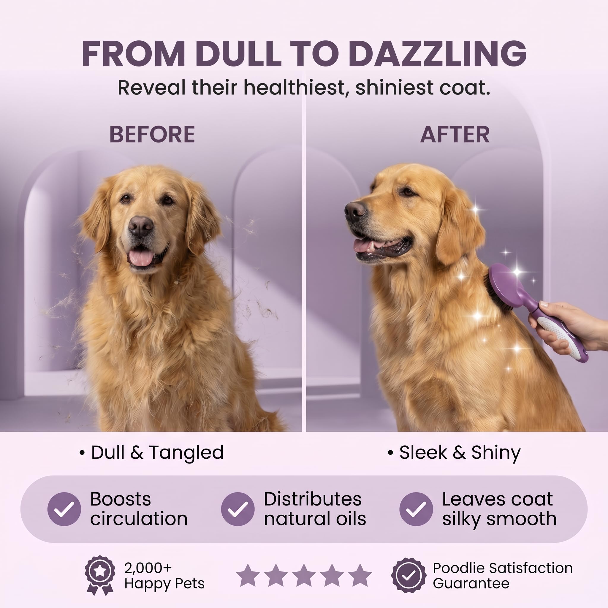 Cepillo de cerdas redondas para mascotas para perros y gatos – Cepillo suave para perros para aseo de pelo corto o largo – Herramienta suave para piel sensible, elimina la caspa, la suciedad y