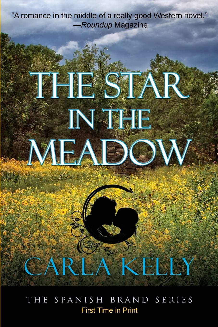 Buy The Star in the Meadow: 4 (Spanish Brand) — BookShops.in