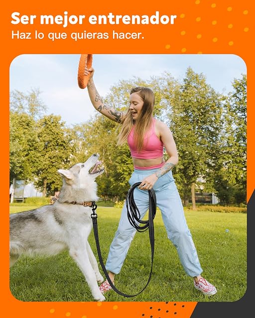 Foto 8 de 8 de Toozey Correa Perro Pequeños a Grandes y Medianos con Gomas Antideslizantes y Tiras Reflectantes