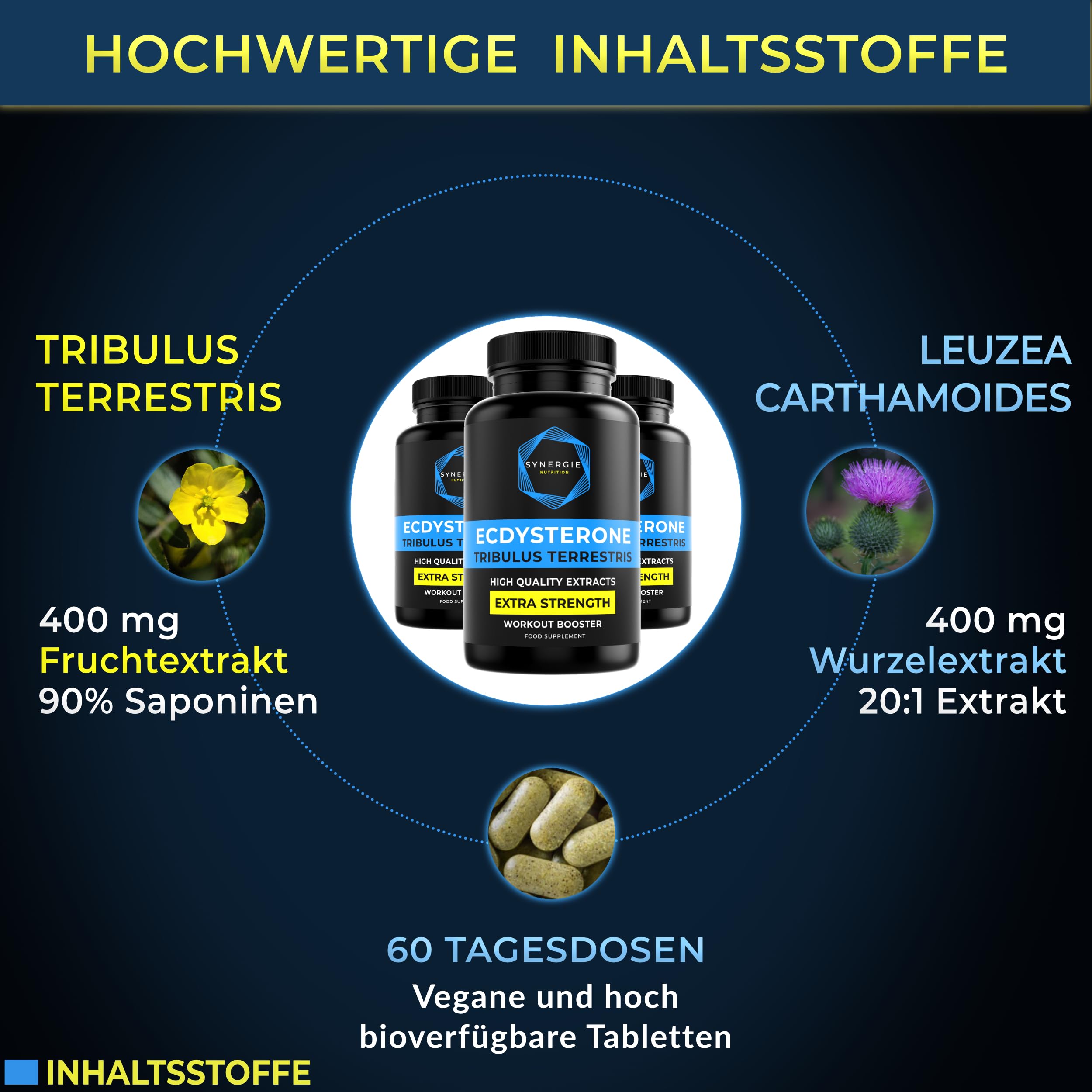 Ecdysteron aus Leuzea + Tribulus Terrestris Hochdosiert – 60 Tagesdosen – Extrakt 20:1 – 90% Saponinen – von Synergie Nutrition