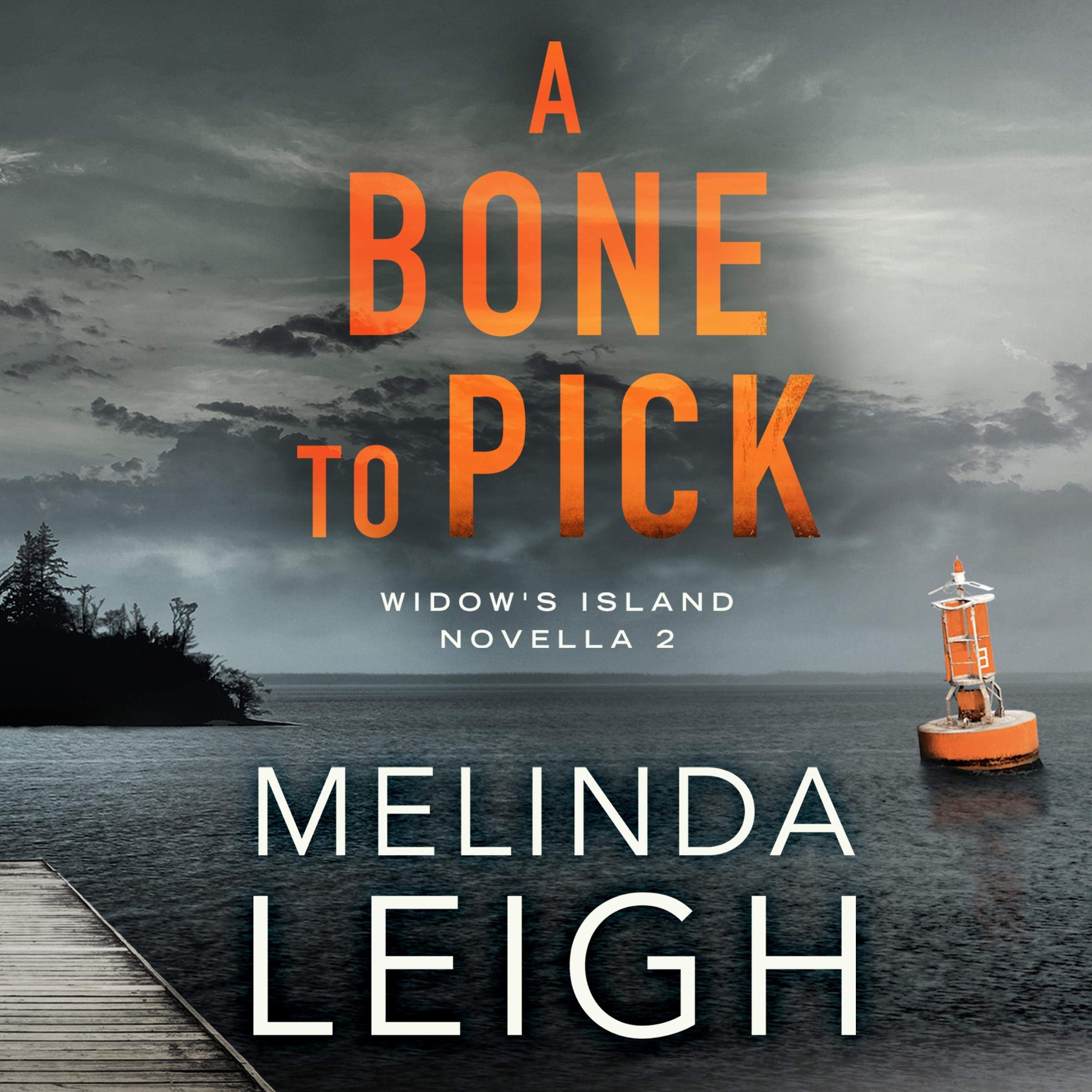 Cover art for A Bone to Pick