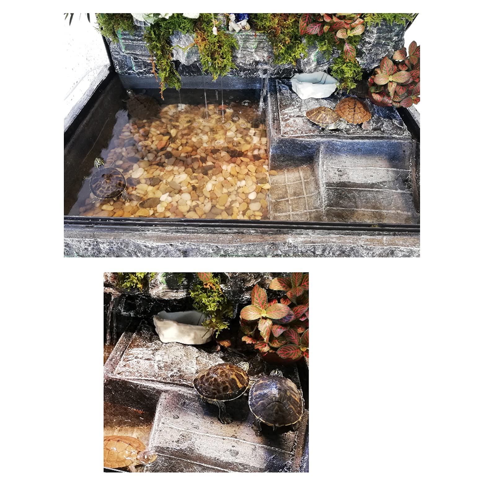 Serbatoio di tartaruga Serbatoio della tartaruga con terrazza, carro armato di tartaruga in vetro, villario di tartaruga d'acqua Villa, serbatoio speciale for alzare le tartarughe, serbatoio della for