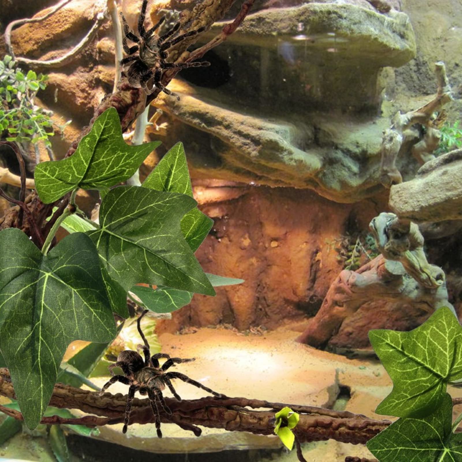 Branches de Reptiles, Vignes de Reptiles avec Ventouses, Branche d'angle de Reptile, Décoration de Plantes de Terrarium, Plantes de Reptiles pour Amphibiens, Lézards, Serpent,