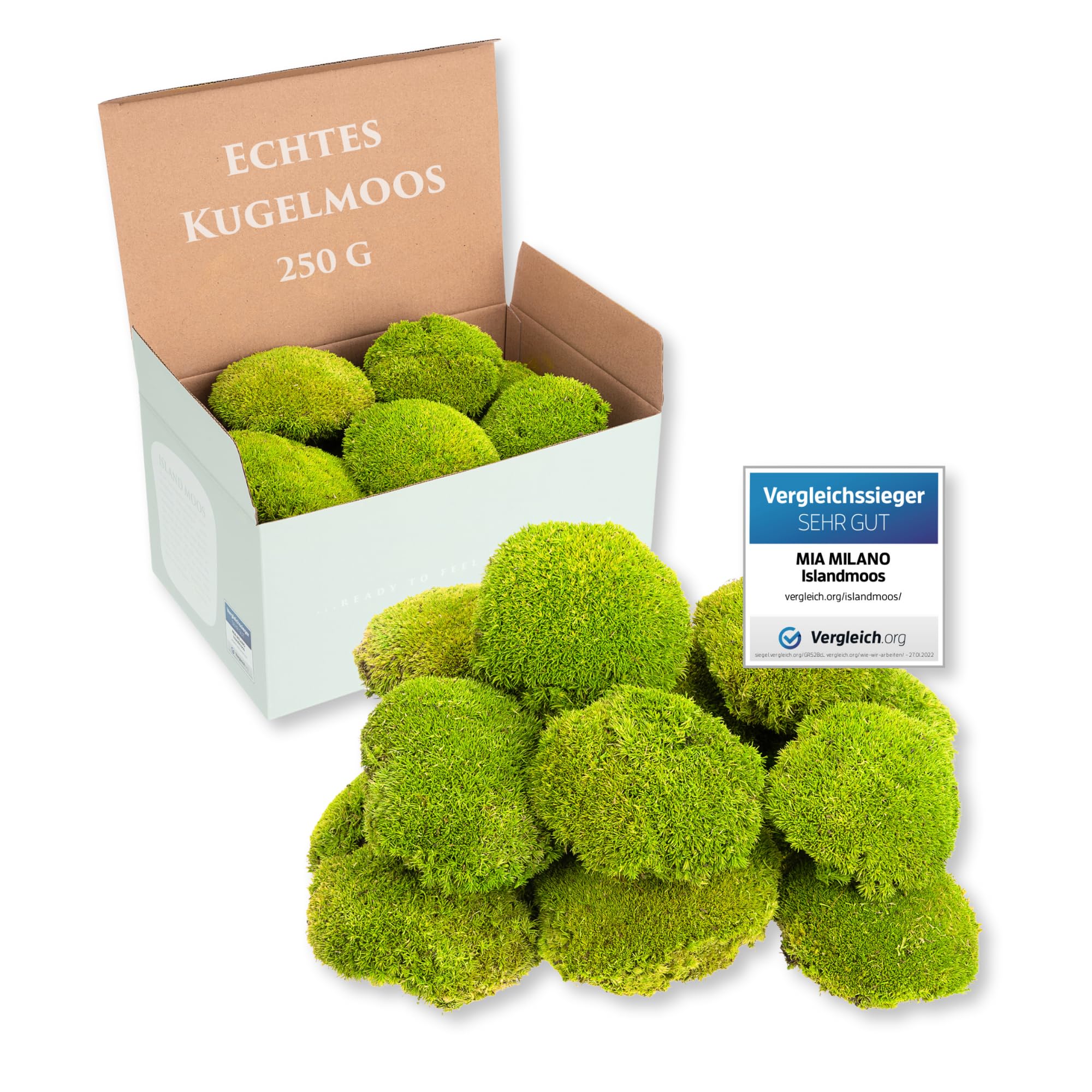 Mia Milano I Muschio Sferico Conservato Verde Chiaro I Muschio Naturale Islandese I Decorazione e Artigianato I 250 g