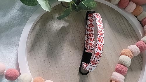 Miniatura 2 de Western Paw Print Collar (Large)