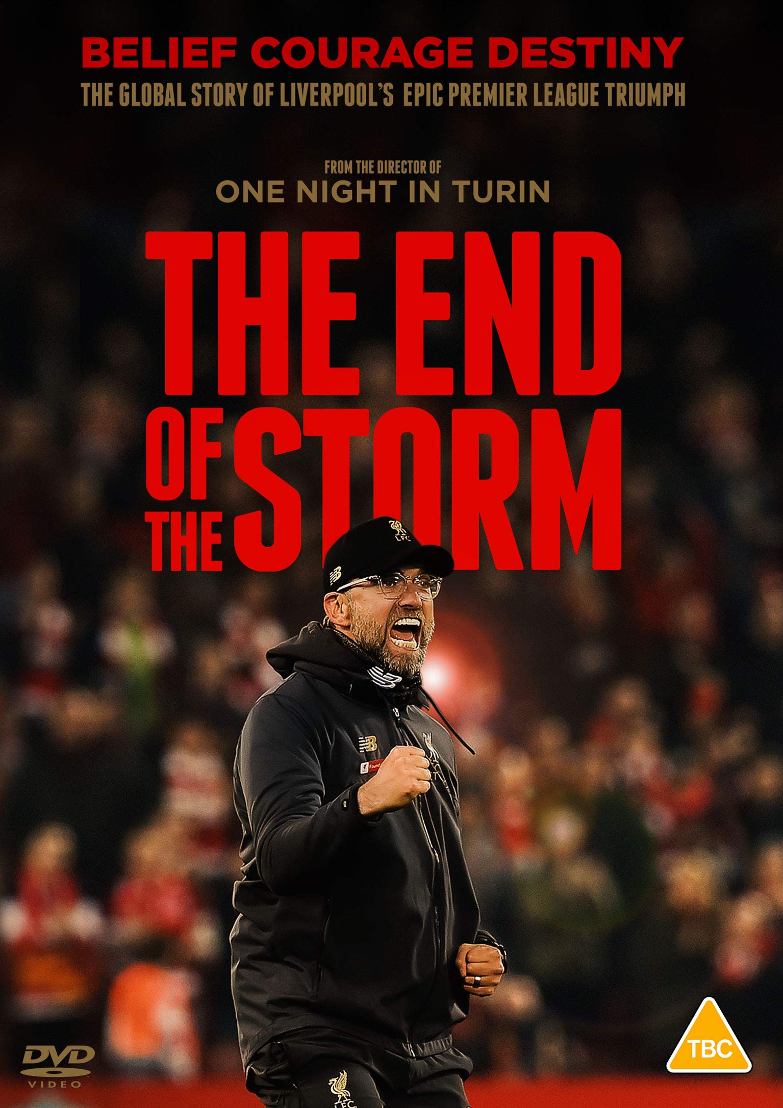 The End of the Storm (DVD) **NEW**