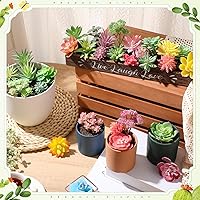 Vista 4 de WILLBOND 38 piezas de mini suculentas artificiales de Navidad, pequeñas plantas suculentas falsas, variadas sin maceta, flores de plástico