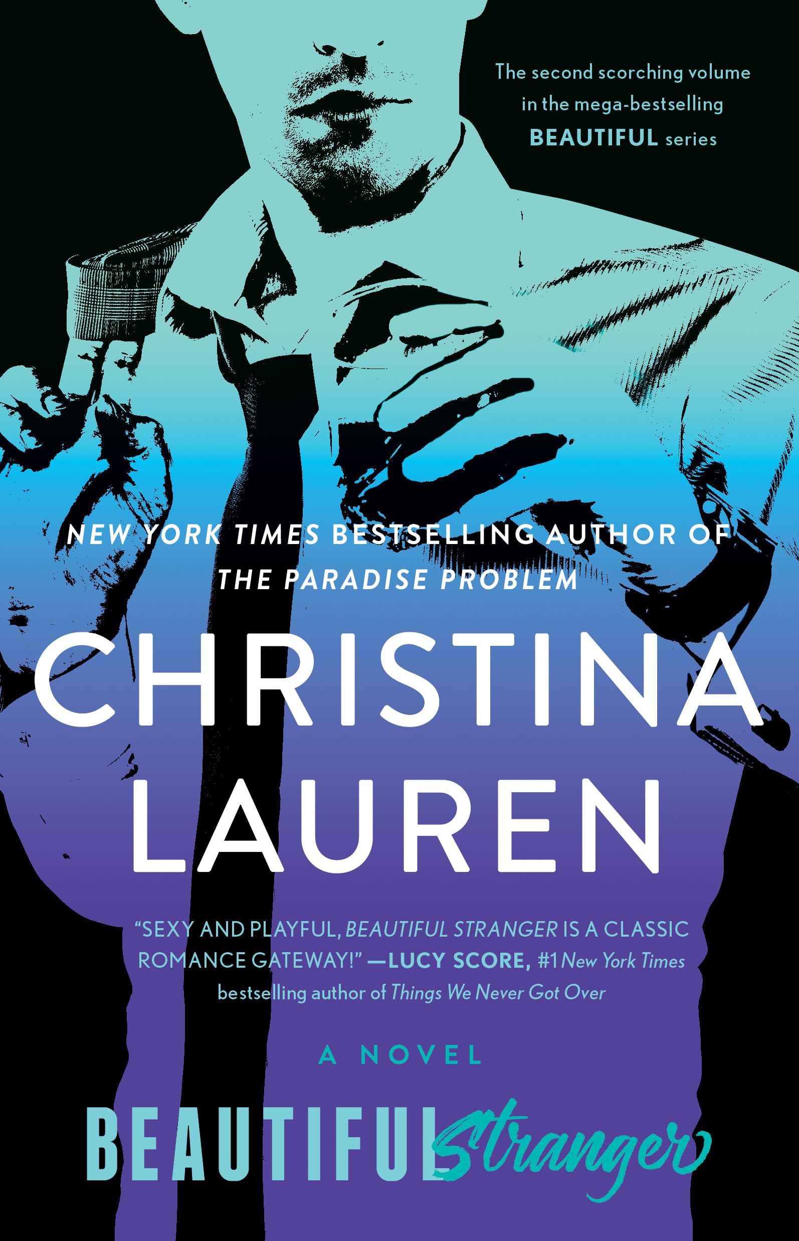 Beautiful Stranger: Volume 2 (The Beautiful Series)